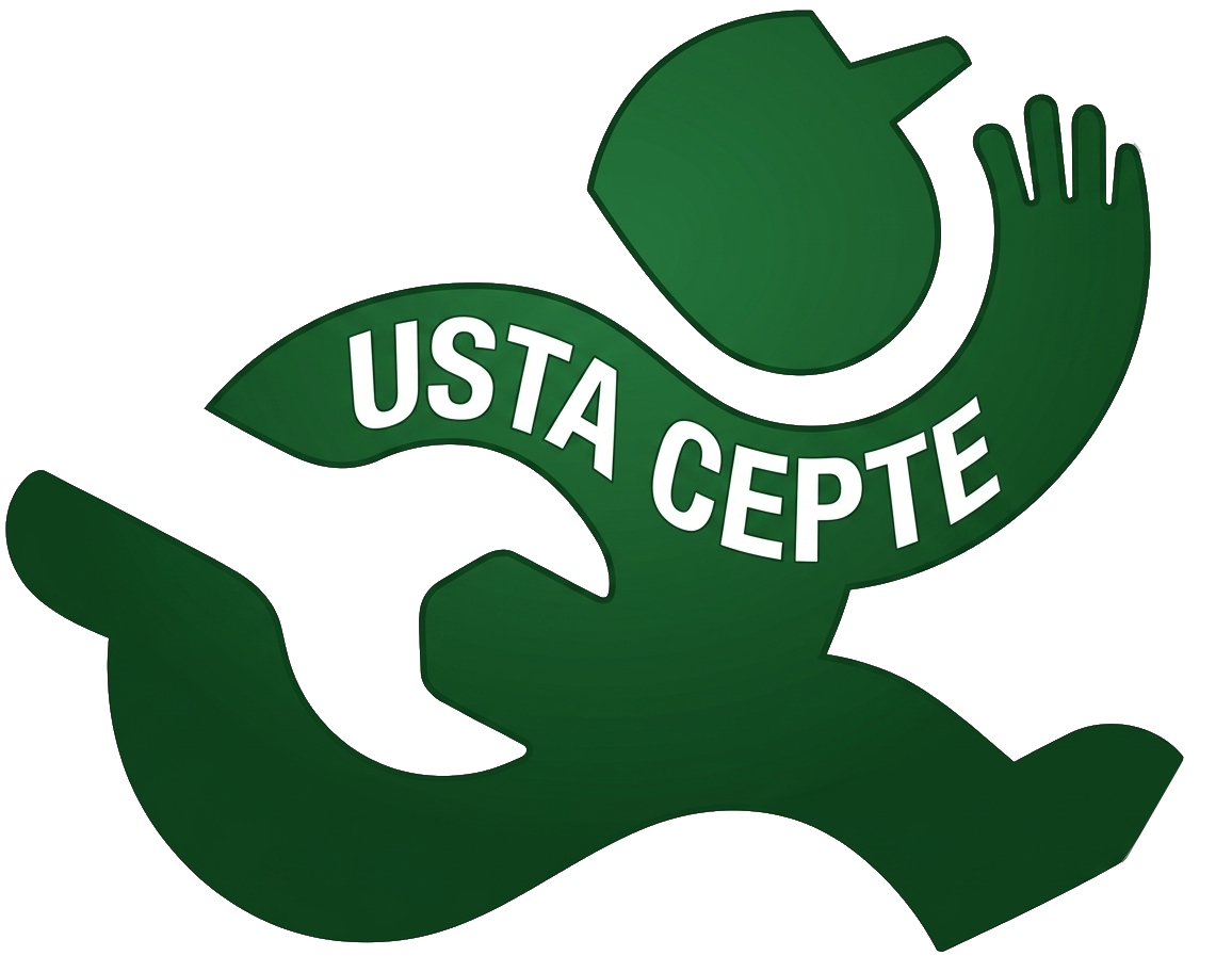 Ustacepte Logo